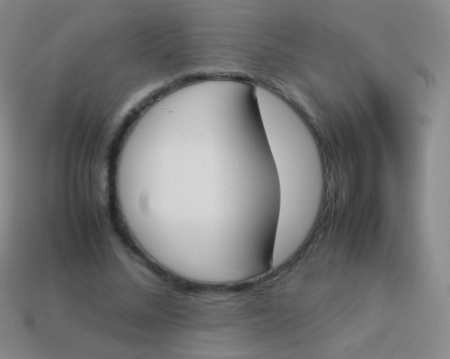 X0000114230684200910231504