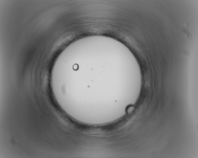 X0000114230685200910231504