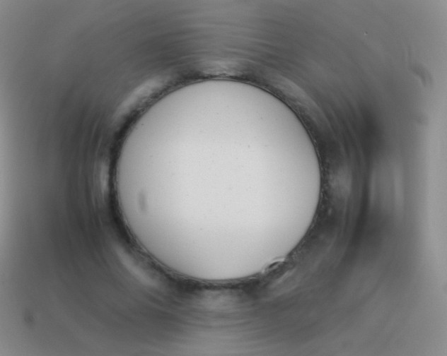 X0000114230686200910231504
