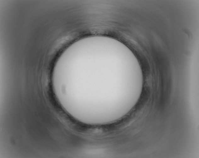 X0000114230687200910231504