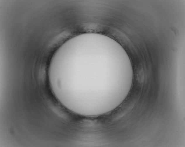 X0000114230690200910231504