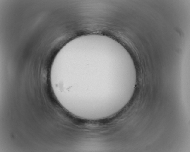X0000114230693200910231504