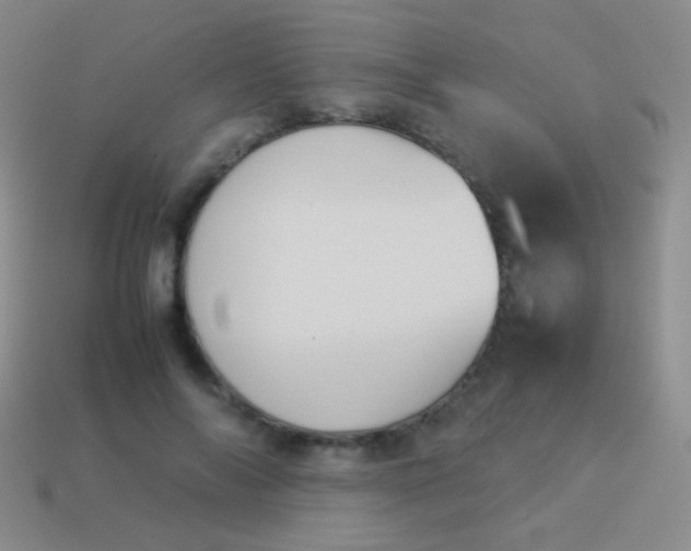 X0000114230694200910231504