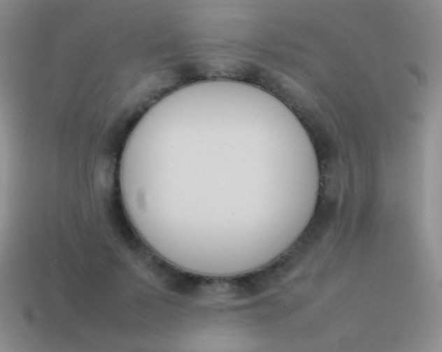 X0000114230695200910231504