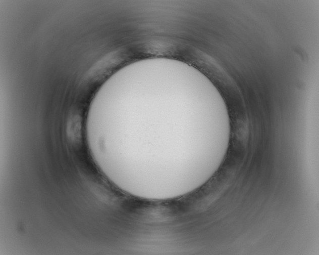 X0000114230696200910231504