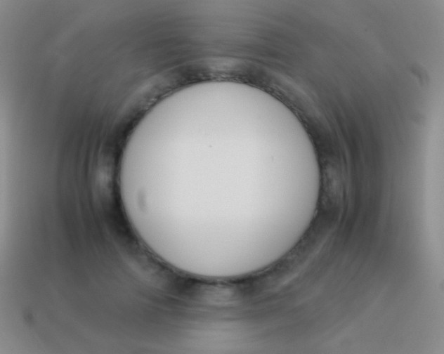 X0000114230698200910231504