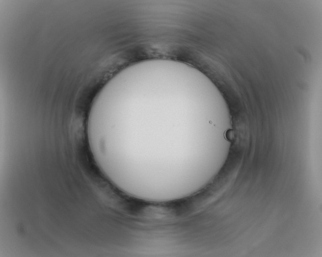 X0000114230699200910231504