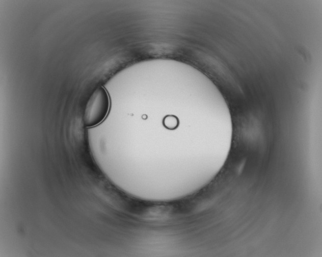 X0000114230700200910231504