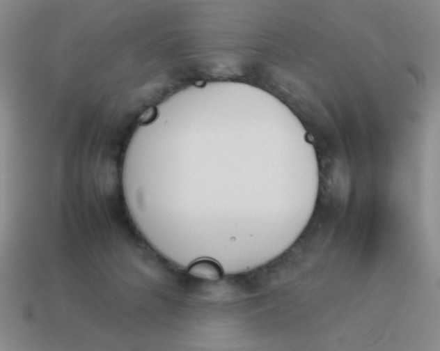 X0000114230704200910231504