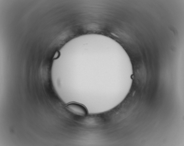 X0000114230708200910231504