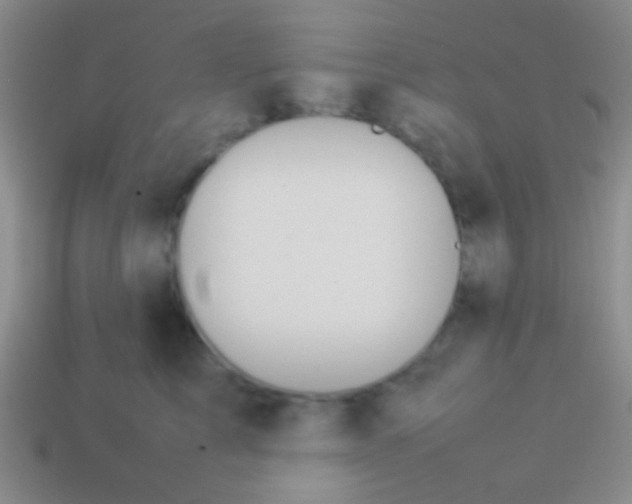 X0000114230713200910231504