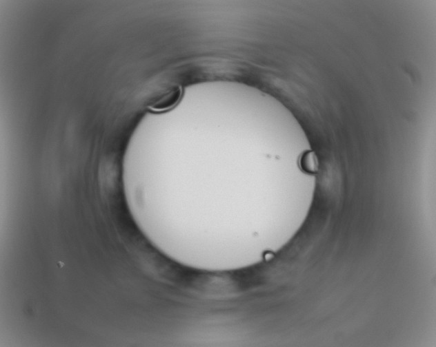 X0000114230715200910231504