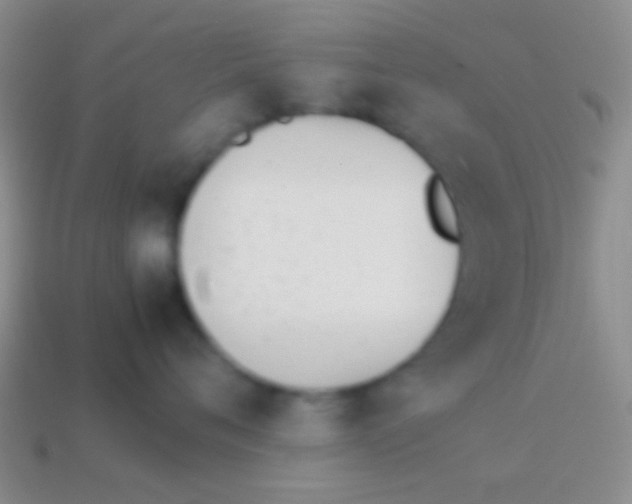 X0000114230720200910231504