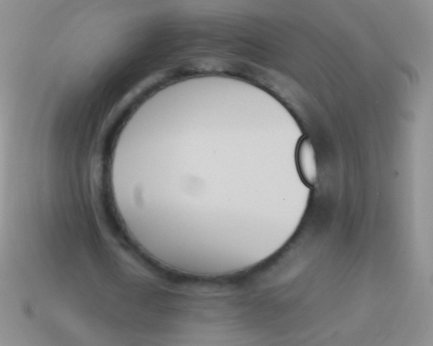 X0000114230722200910231503