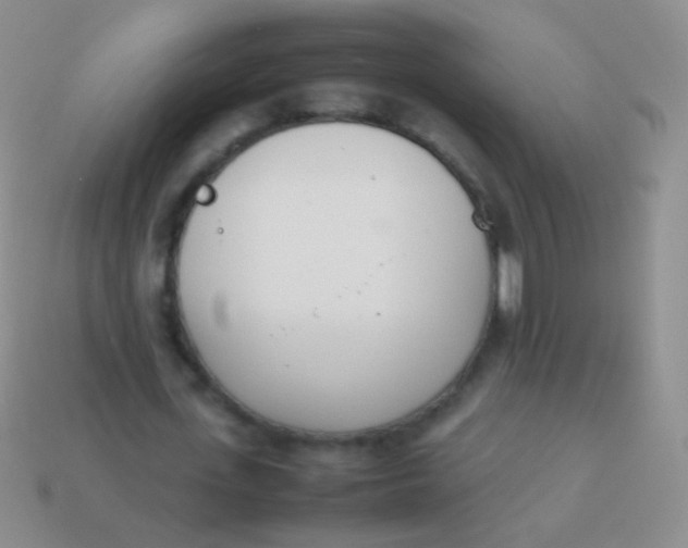 X0000114230723200910231503