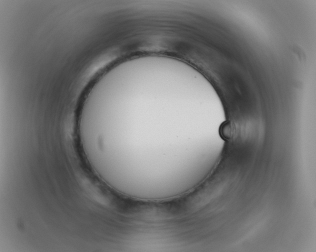 X0000114230724200910231503
