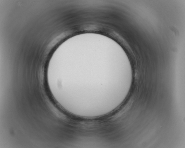 X0000114230725200910231503
