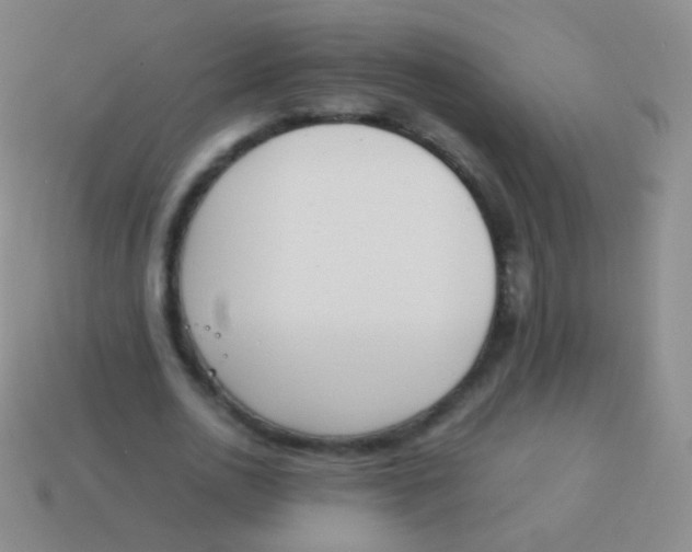 X0000114230726200910231503