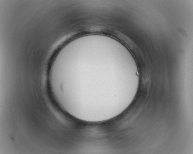 X0000114230728200910231503