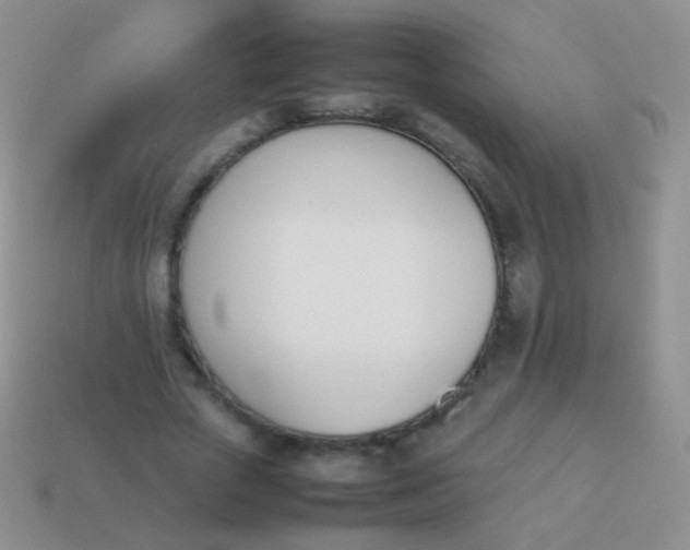 X0000114230729200910231503