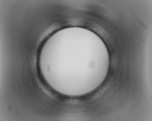 X0000114230730200910231503