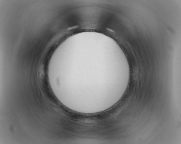 X0000114230731200910231503