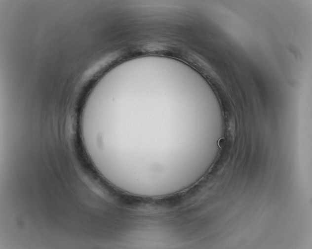 X0000114230732200910231503