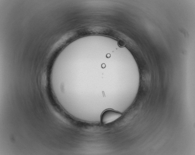 X0000114230734200910231503
