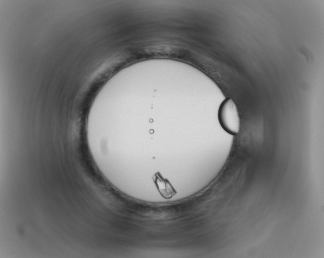 X0000114230735200910231503