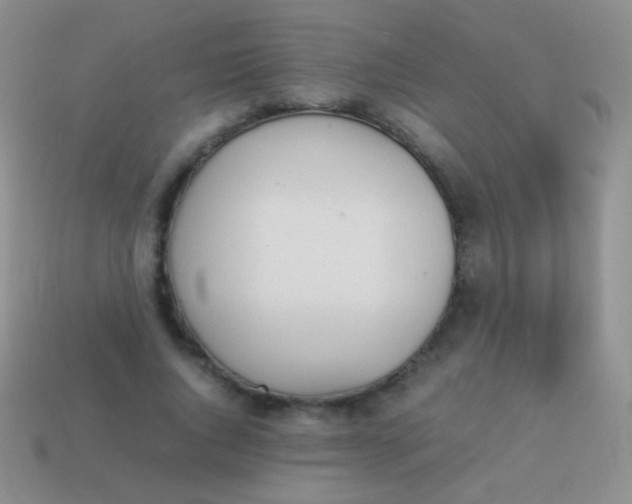 X0000114230736200910231503
