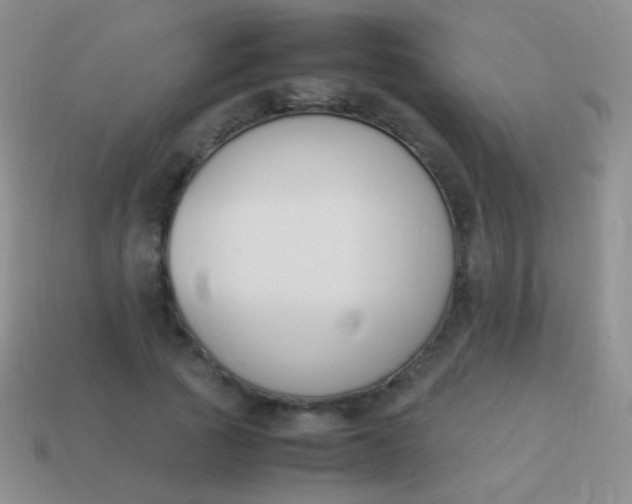 X0000114230737200910231503