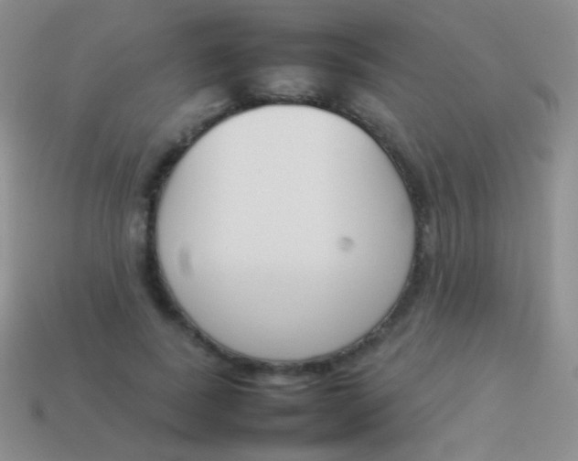 X0000114230739200910231503
