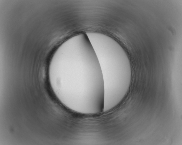 X0000114230740200910231503