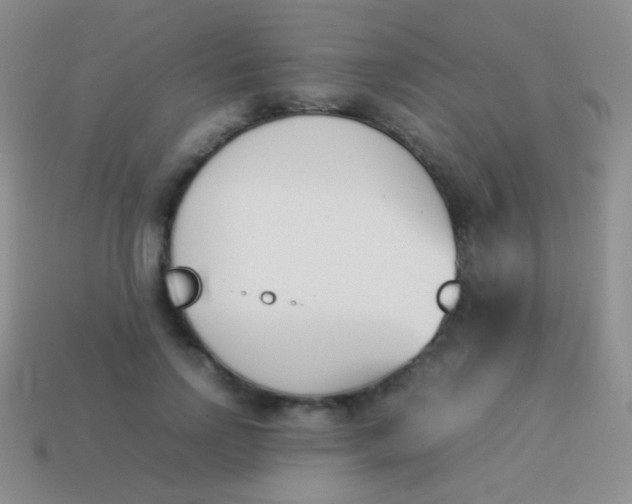 X0000114230742200910231503