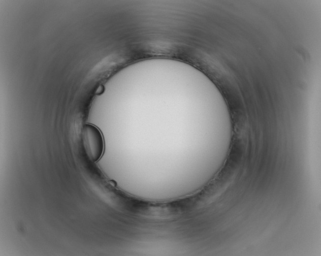 X0000114230744200910231503