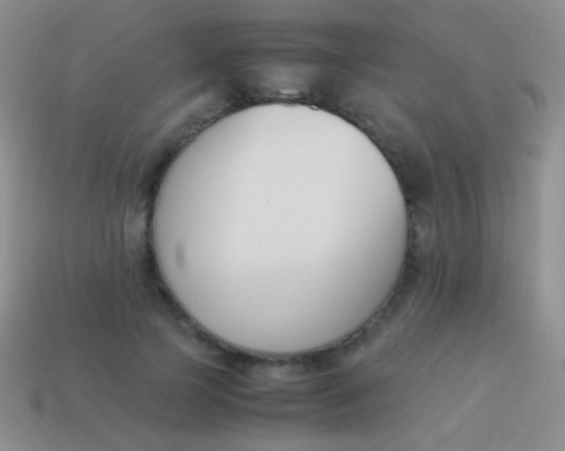 X0000114230745200910231503