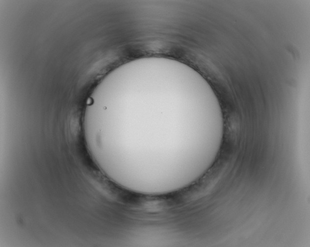 X0000114230746200910231503