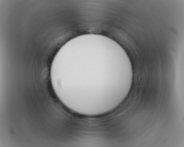 X0000114230748200910231503