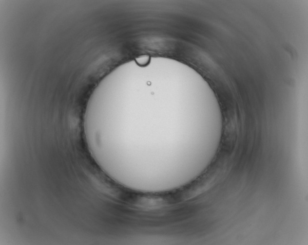 X0000114230749200910231503