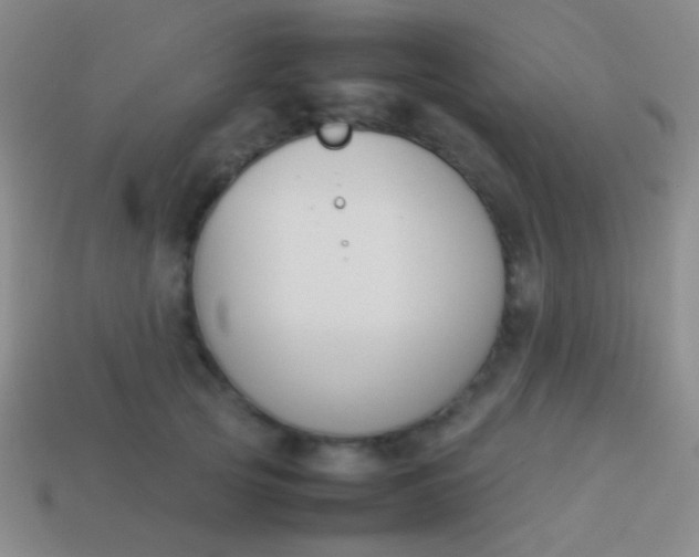 X0000114230753200910231503