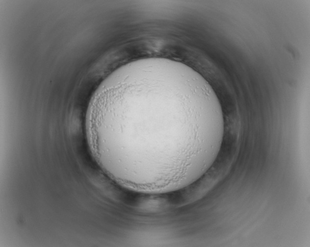 X0000114230754200910231503