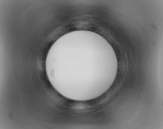 X0000114230755200910231503