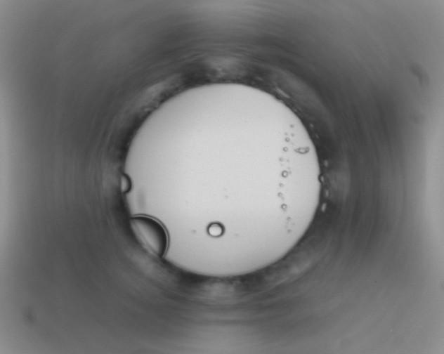 X0000114230756200910231503