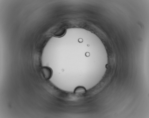 X0000114230757200910231503