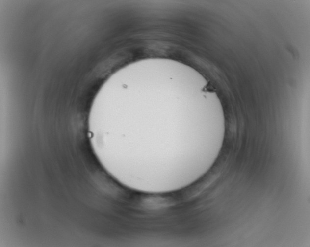 X0000114230759200910231503