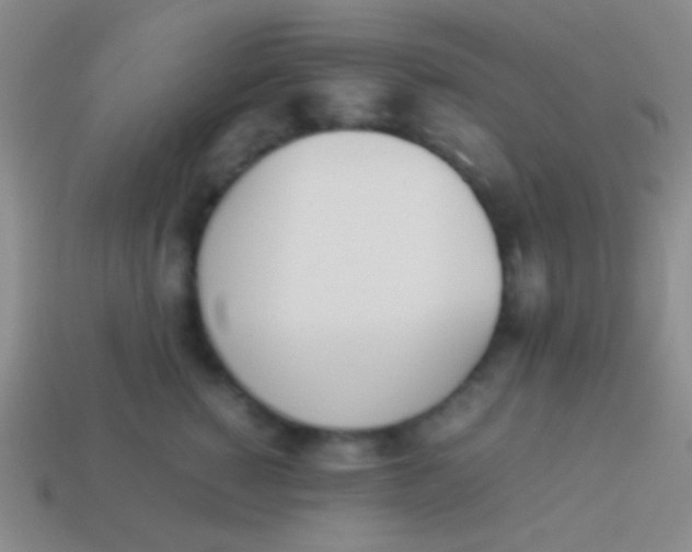 X0000114230760200910231503