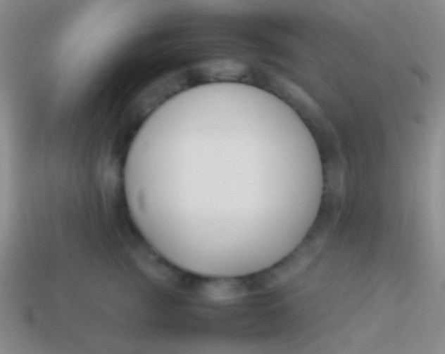 X0000114230761200910231504