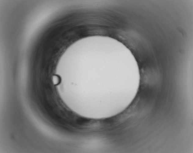 X0000114230764200910231504