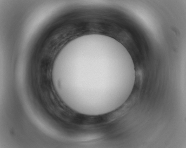 X0000114230765200910231504