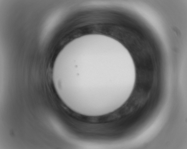 X0000114230766200910231504